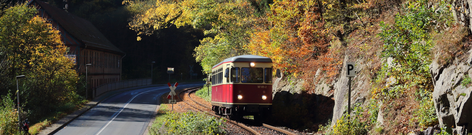 Triebwagen an Straße mit Bäumen